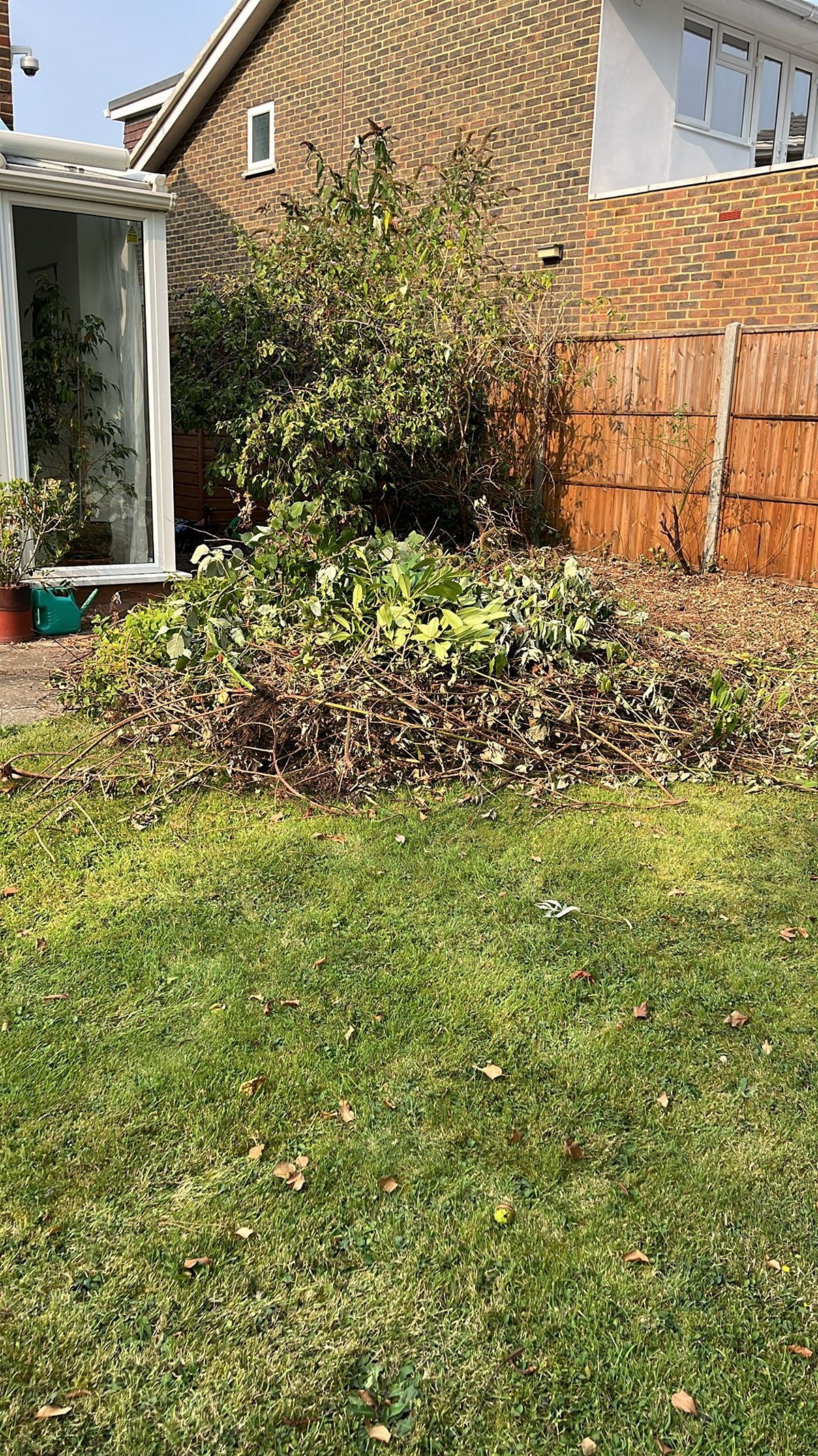 House and Garden Waste Collection Slough, Maidenhead, High Wycombe